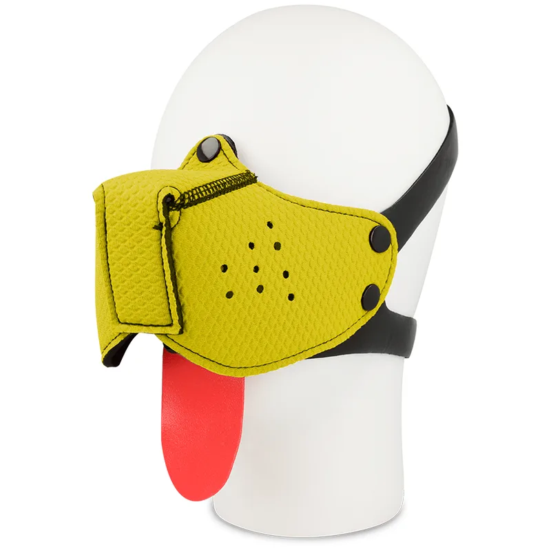 Açaí de Cão de Fetiche Ohmama - Amarelo